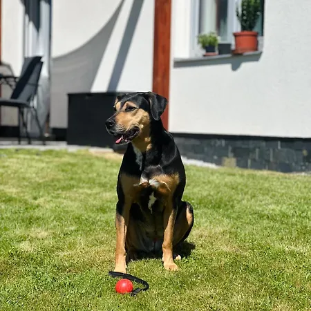 Apartament Pod Suchym Vrchem Stachy