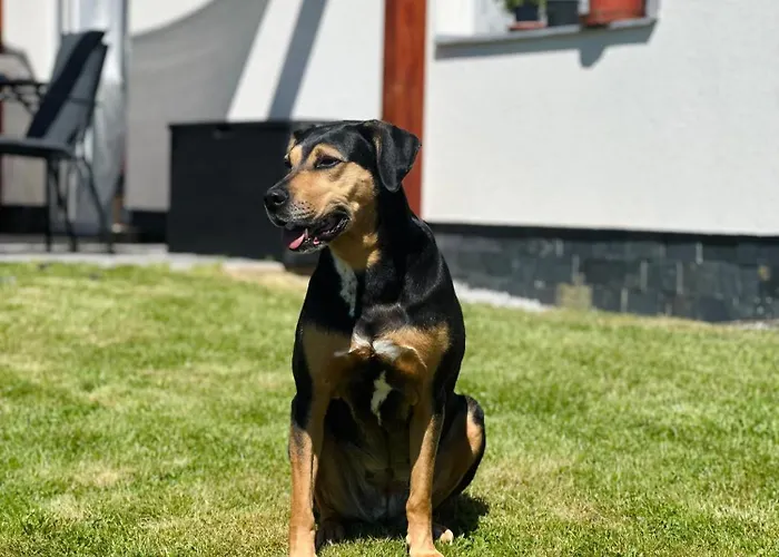 Apartamento Pod Suchým Vrchem Stachy